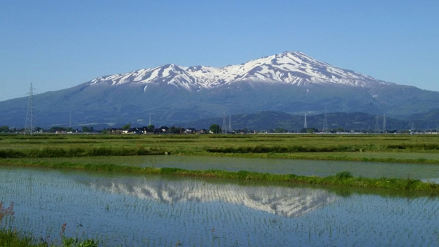 方言しゃべって、元気になろう